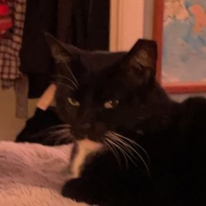 Meet your Posher, Eddie